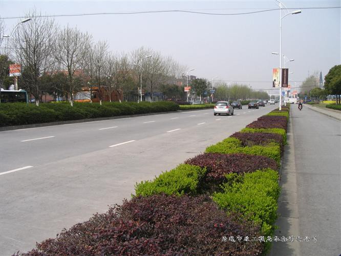 青年東路東延